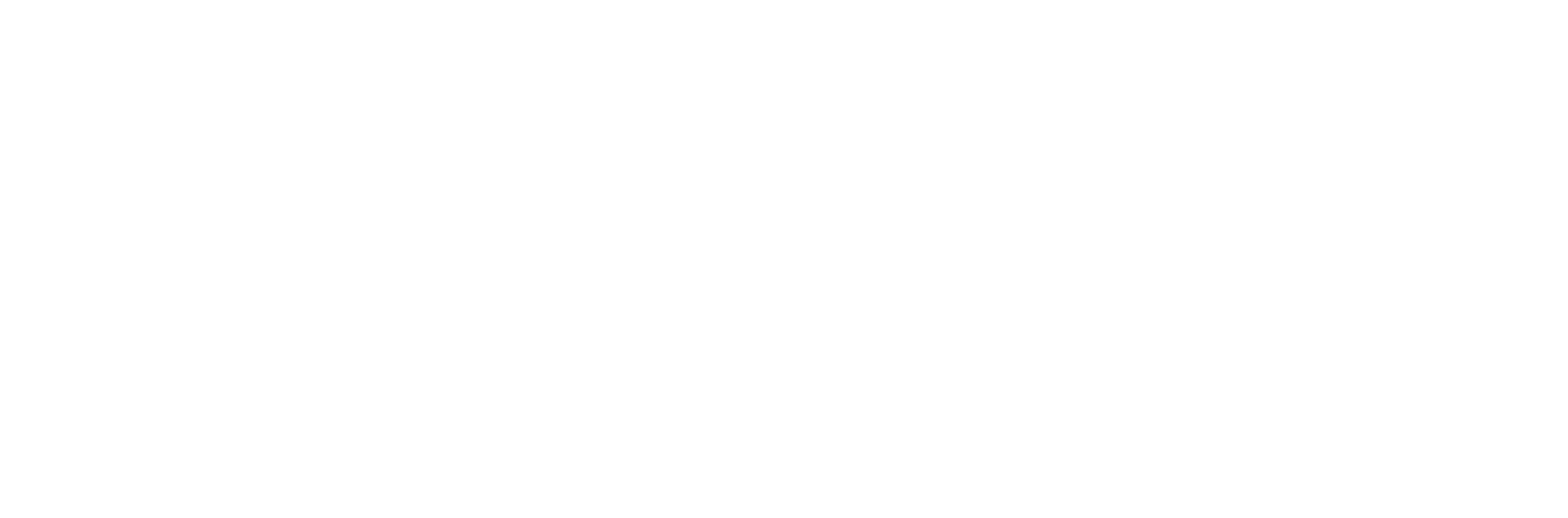 NAVIS BY HOMESPOT Logo